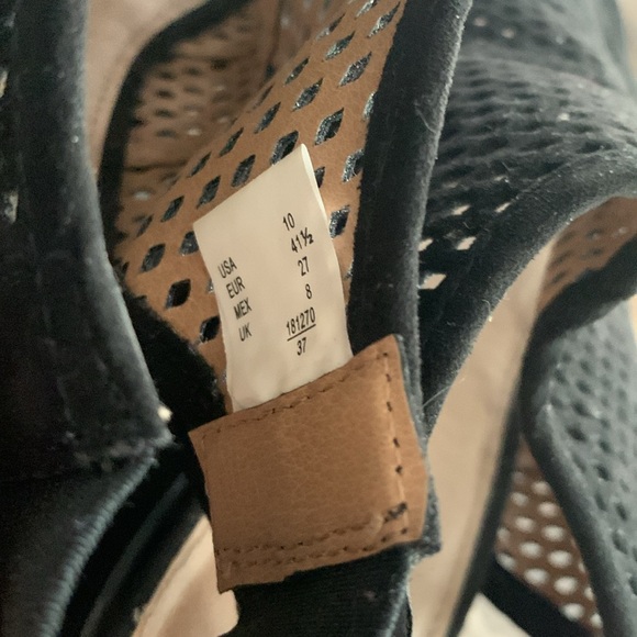 American eagle - Picture 6 of 6